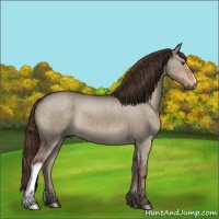 Horse Color:Liver Red Dun Roan 
