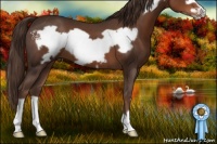 Horse Color:Liver Chestnut Frame 