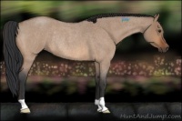 Horse Color:Brown Roan Dun Rabicano 