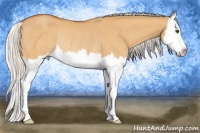 Horse Color:Silver Buckskin Dun Sabino Splash Rabicano 