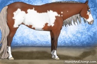 Horse Color:Silver Bay Roan Frame 