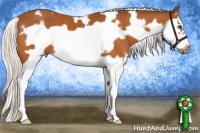 Horse Color:White Spotted Silver Buckskin Splash Frame 