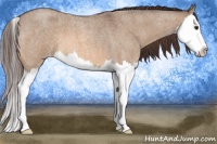 Horse Color:Bay Roan Dun Splash Appaloosa