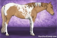 Horse Color:Chestnut Tobiano
