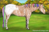 Horse Color:Painted Silver Bay Ice Appaloosa 