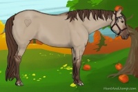 Horse Color:Liver Red Dun 