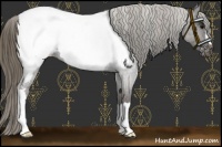 Horse Color:Smoky Blue Roan Near Fewspot 