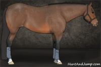Horse Color:Bay Roan Varnish 