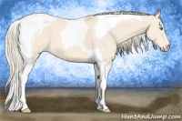 Horse Color:Perlino Tobiano