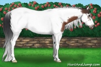 Horse Color:Bay Splash Tobiano Frame 