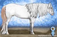 Horse Color:White Spotted Brown Roan Appaloosa Rabicano 