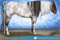 Horse Color:White Spotted Brown Roan Varnish Rabicano 