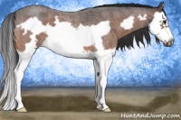 Horse Color:Brown Roan Splash Frame