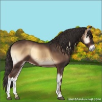 Horse Color:Liver Red Onyx 