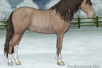 Horse Color:Classic Champagne Rabicano 