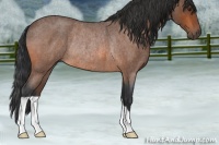 Horse Color:Bay Roan Rabicano 