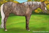 Horse Color:Silver Bay Ice Pearl 