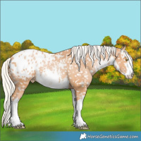 Horse Color:White Spotted Silver Bay Pearl Snowflake Varnish