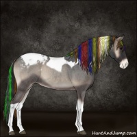 Horse Color:Painted Blue Onyx Roan Tobiano Varnish 