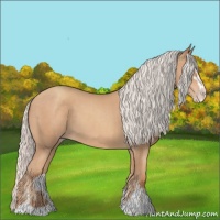 Horse Color:Silver Classic Champagne Sabino 