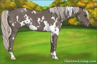 Horse Color:White Spotted Silver Black 