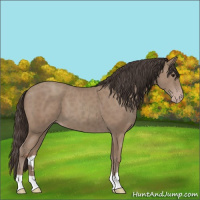 Horse Color:Classic Champagne 