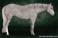 Horse Color:Silver Black Ice