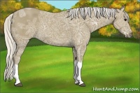 Horse Color:Silver Smoky Black Ice 