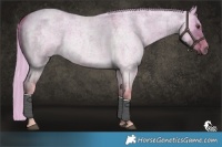 Horse Color:Palomino Ice Roan Dun 