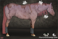 Horse Color:Red Dun Ice Brindle 