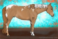 Horse Color:Chestnut Tobiano