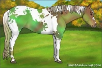 Horse Color:Chestnut Tobiano