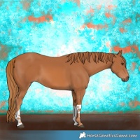 Horse Color:Chestnut Tobiano