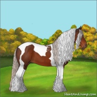 Horse Color:Silver Brown Tobiano 