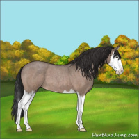 Horse Color:Brown Roan Dun Splash 