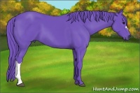Horse Color:Watercolor Black 