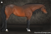 Horse Color:Brown 