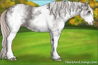 Horse Color:White Spotted Silver Black Rabicano 