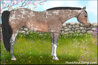 Horse Color:Bay Ice 