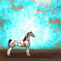Horse Color:Gray Brown Dun Tobiano Appaloosa Brindle 