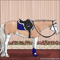 Horse Color:Silver Classic Champagne Splash