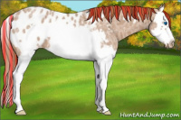 Horse Color:Painted Red Ice Roan Splash Frame Appaloosa 