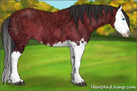 Horse Color:Bay Ice Splash 