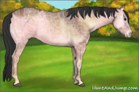 Horse Color:Bay Ice Onyx 