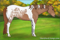 Horse Color:Chestnut Ice Tobiano 