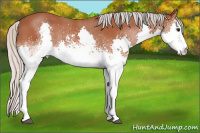 Horse Color:White Spotted Silver Bay Splash 