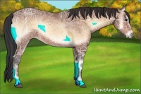 Horse Color:Bay Ice Onyx Sabino 