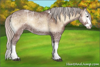 Horse Color:Silver Blue Onyx Ice Splash 