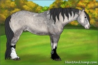 Horse Color:Blue Onyx Ice 