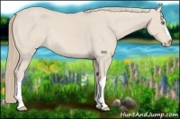 Horse Color:Smoky Creme 